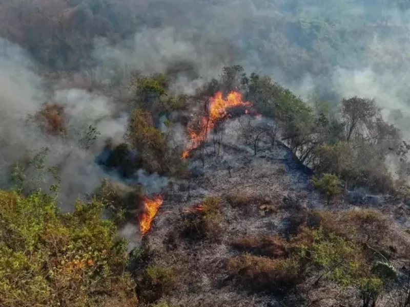 Hay cuatro focos simult&aacute;neos y m&aacute;s de 30 mil hect&aacute;reas afectadas