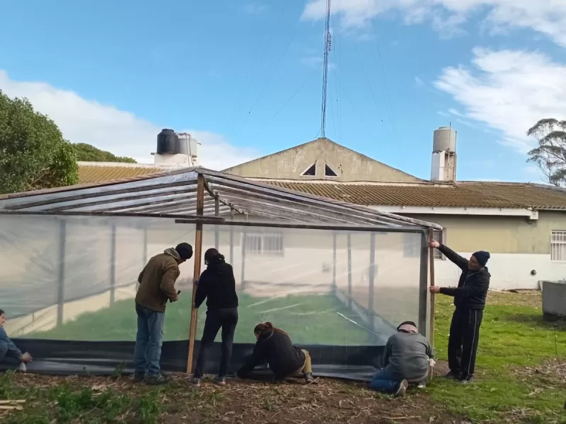 Costa Bonita: un invern&aacute;culo para aprender, producir y construir territorio Forestaci&oacute;n Inclusiva