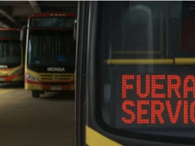 Paro de colectivos en zona norte por salarios adeudados: varias l&iacute;neas interrumpen su servicio