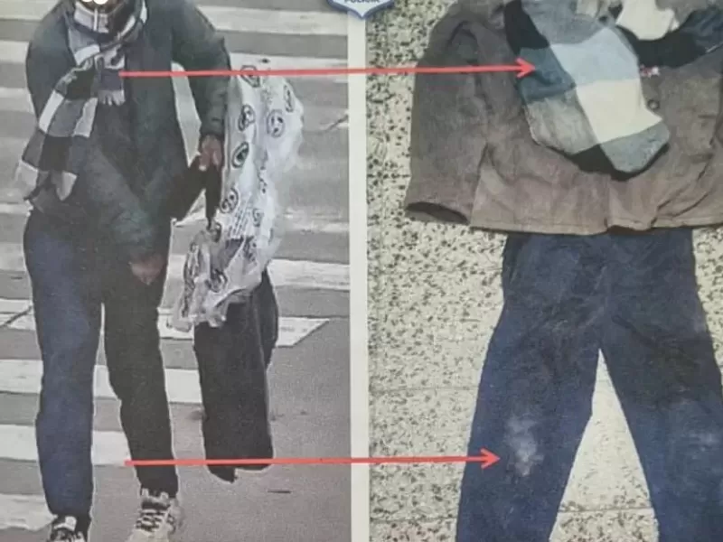 Detuvieron a un delincuente con un extenso historial de ingresos y egresos de la Justicia
