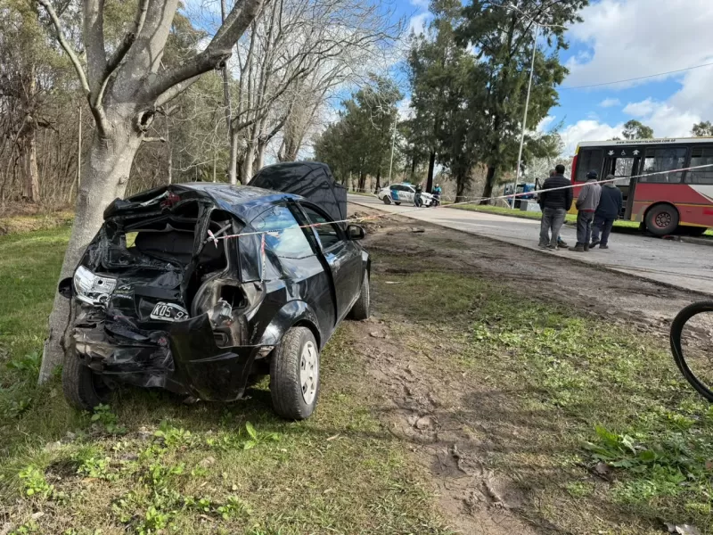 Accidente del micro 202: Scafati confirmó unos 20 heridos y el corte total de la avenida 60