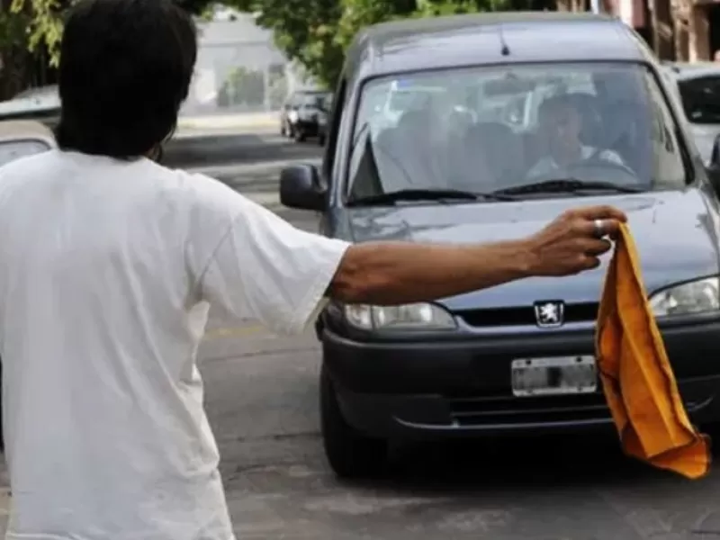Dami&aacute;n Paz present&oacute; un proyecto para prohibir la actividad de &ldquo;trapitos&rdquo;