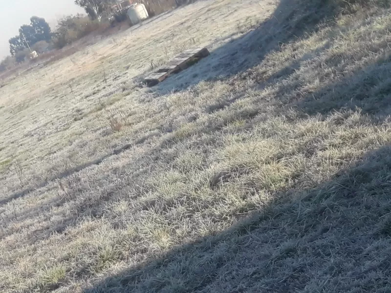 Heladas extremas y récord de frío en el AMBA: la mañana más gélida del año