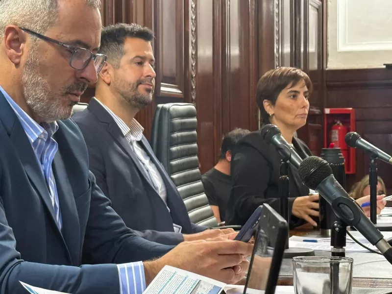 El oficialismo marc&oacute; agenda en una intensa sesi&oacute;n del Concejo platense