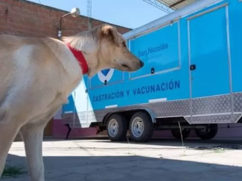 El quir&oacute;fano m&oacute;vil realizar&aacute; castraciones gratuitas este mi&eacute;rcoles en barrio San Eduardo