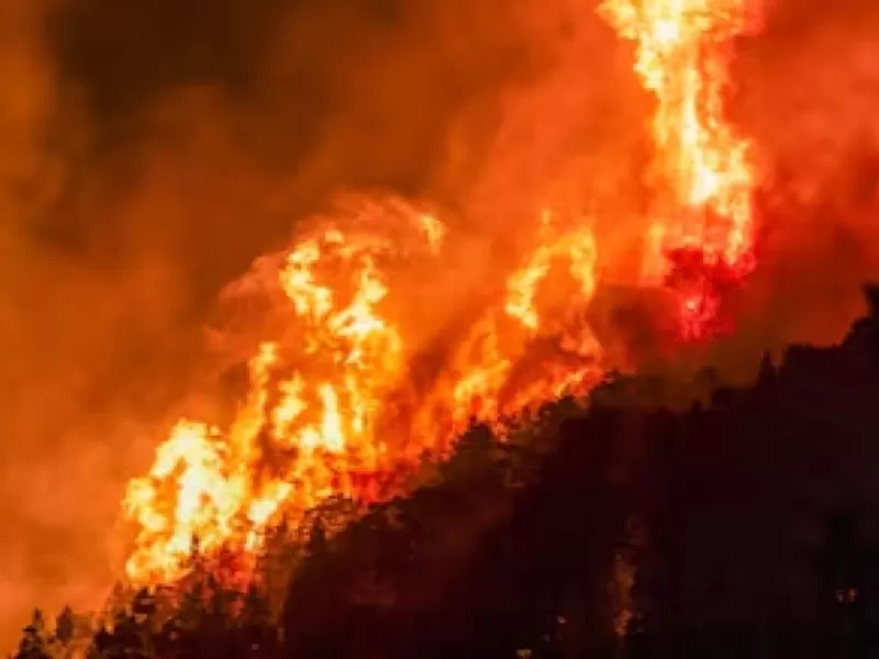 El Gobierno ampli&oacute; la emergencia &iacute;gnea e incorpor&oacute; a Santa Cruz por los incendios forestales