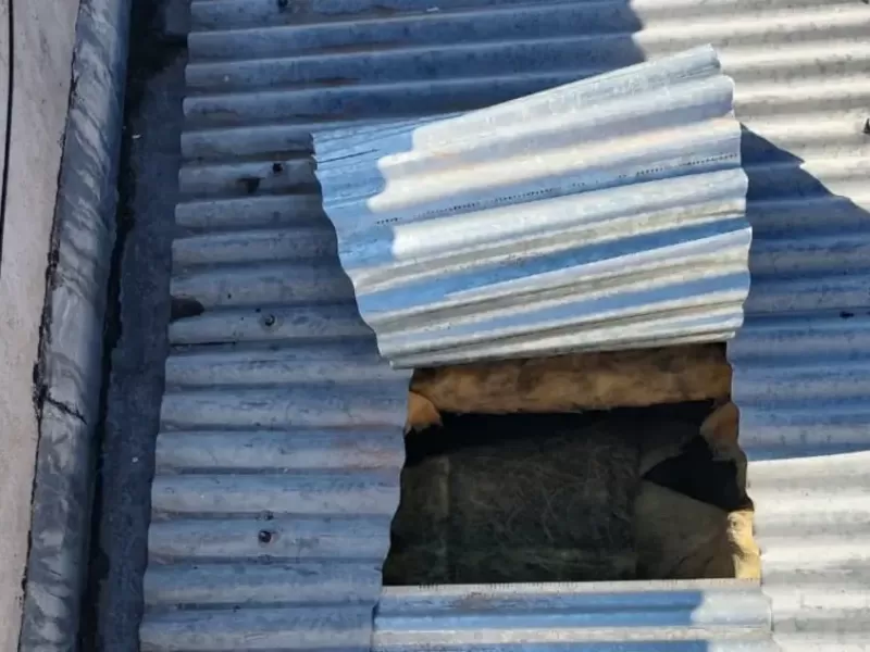 Intentaron robar en una gomer&iacute;a tras realizar dos boquetes en el techo, pero la alarma frustr&oacute; el delito