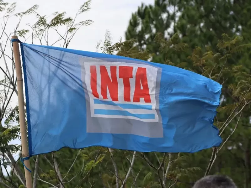 Plan Motosierra: el Gobierno relanza retiros voluntarios en el INTA y busca reducir otros 1.000 puestos