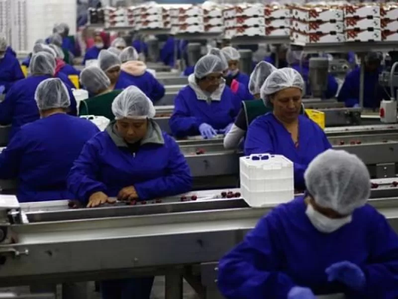 Fuerte deterioro del empleo: suben la desocupaci&oacute;n y la informalidad en la era Milei