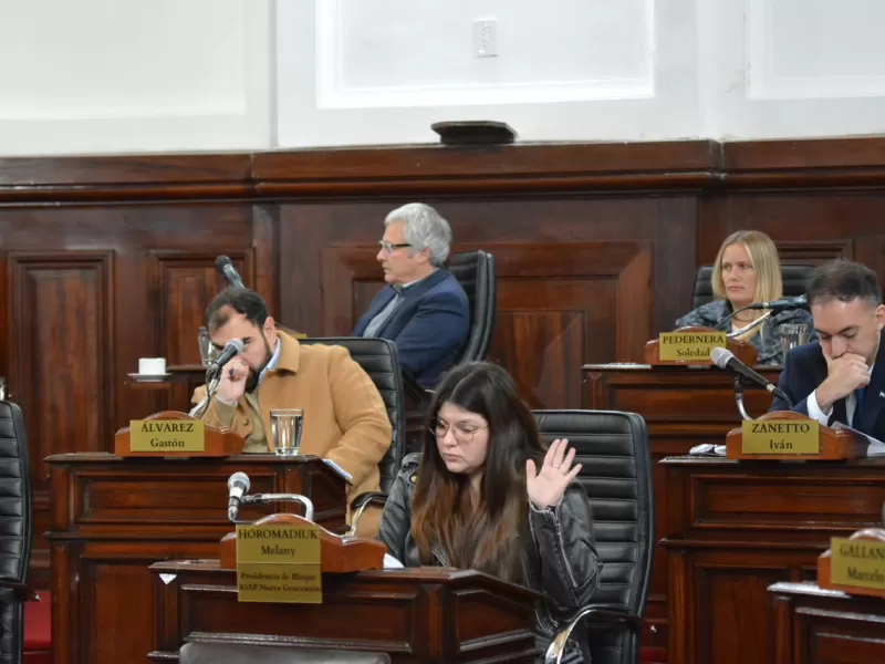 El Concejo Deliberante aprob&oacute; una ordenanza clave para avanzar con la recuperaci&oacute;n integral del Parque Saavedra