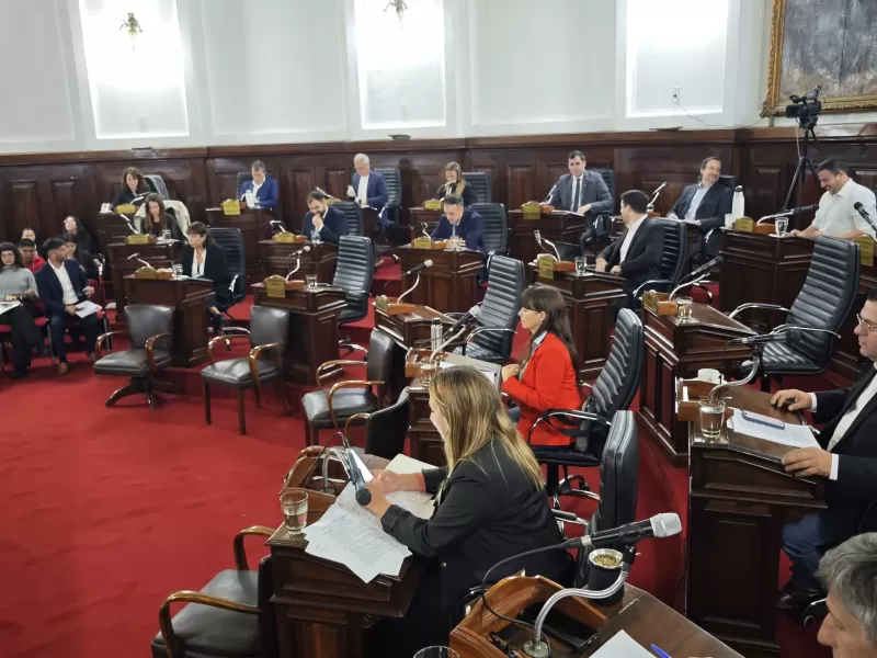 El Concejo Deliberante aprobó el aumento de taxis en La Plata y avanzó con proyectos de seguridad