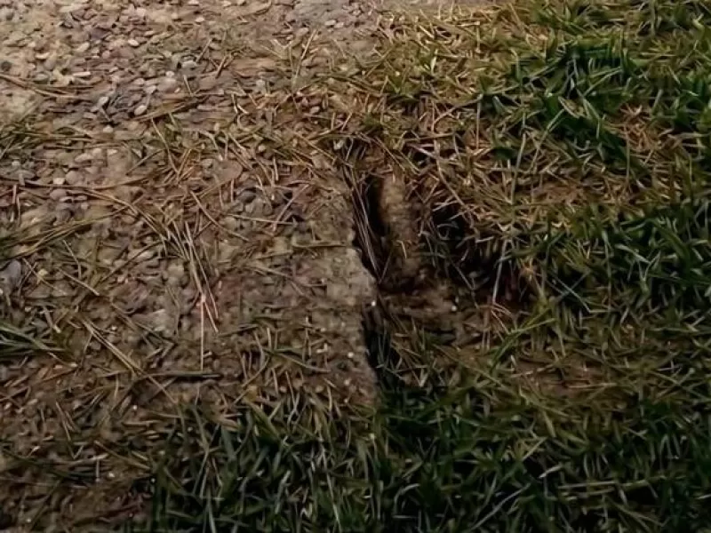 La Justicia ordenó indemnizar a una mujer que cayó en un pozo oculto en una bicisenda