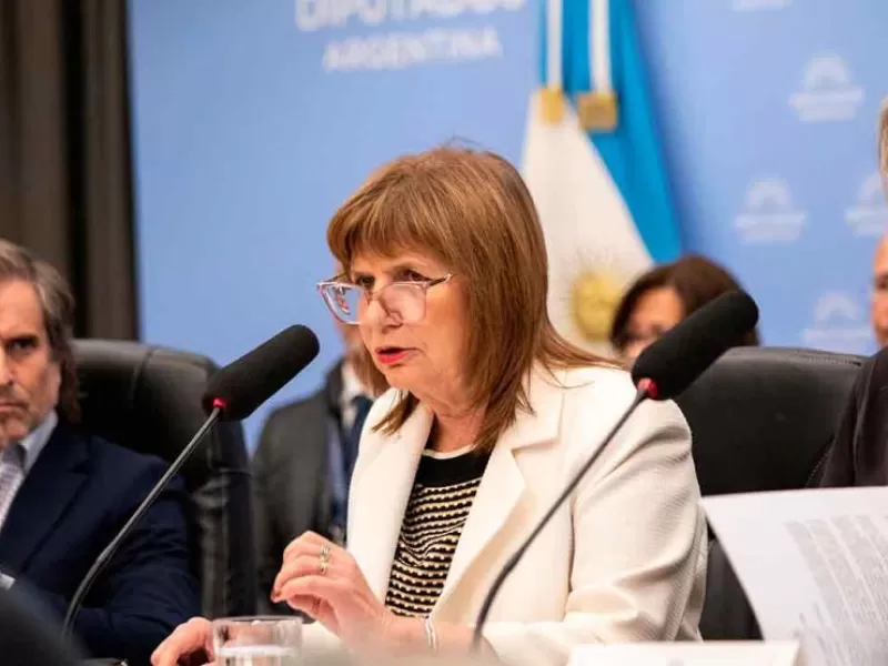 Patricia Bullrich adelant&oacute; que el Senado comenzar&aacute; a debatir la reforma pol&iacute;tica y Ficha Limpia