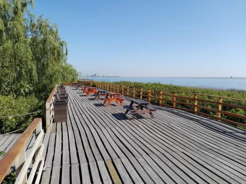 Parque del R&iacute;o: Jorge Ferraresi anunci&oacute; su ampliaci&oacute;n con nuevas &aacute;reas recreativas y productivas