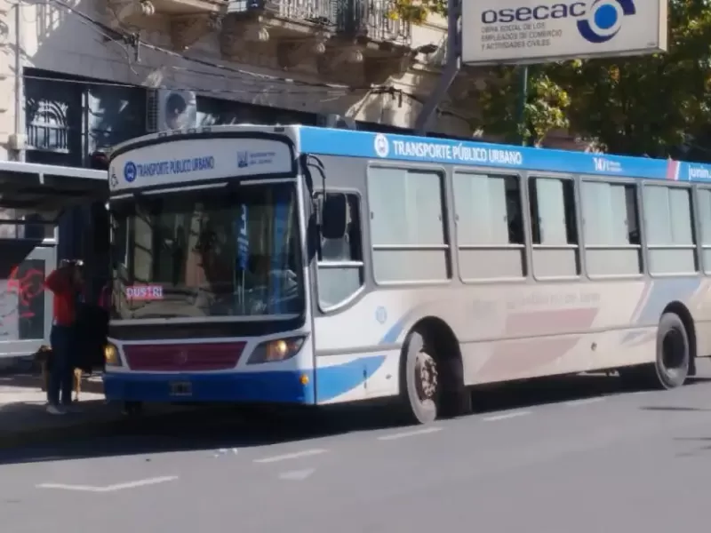 Usuarios del transporte urbano formaron un grupo de WhatsApp para reclamar por demoras y fallas en el servicio de colectivos