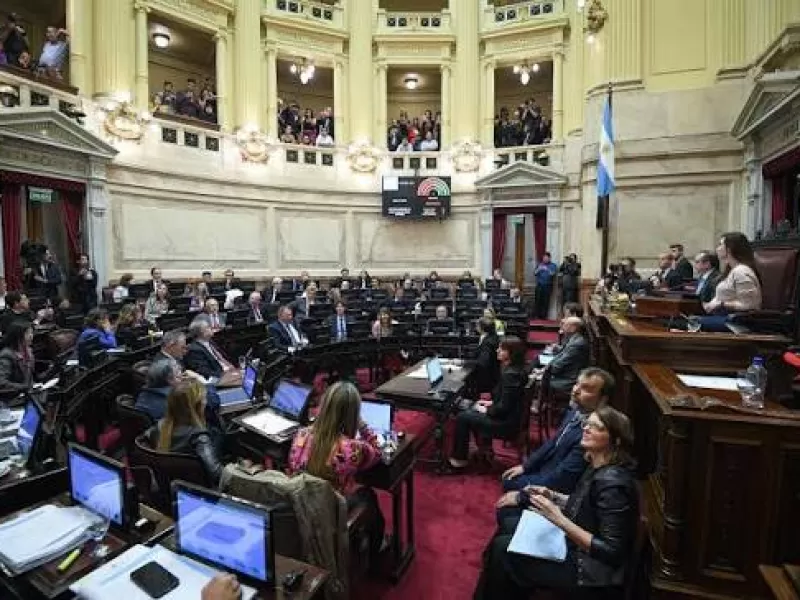 El Senado debate un nuevo r&eacute;gimen de inversiones y la reforma de la Ley de Salud Mental