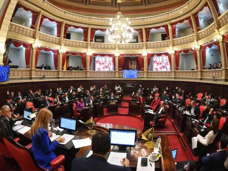 El Senado bonaerense designó a representantes en el Consejo de la Magistratura