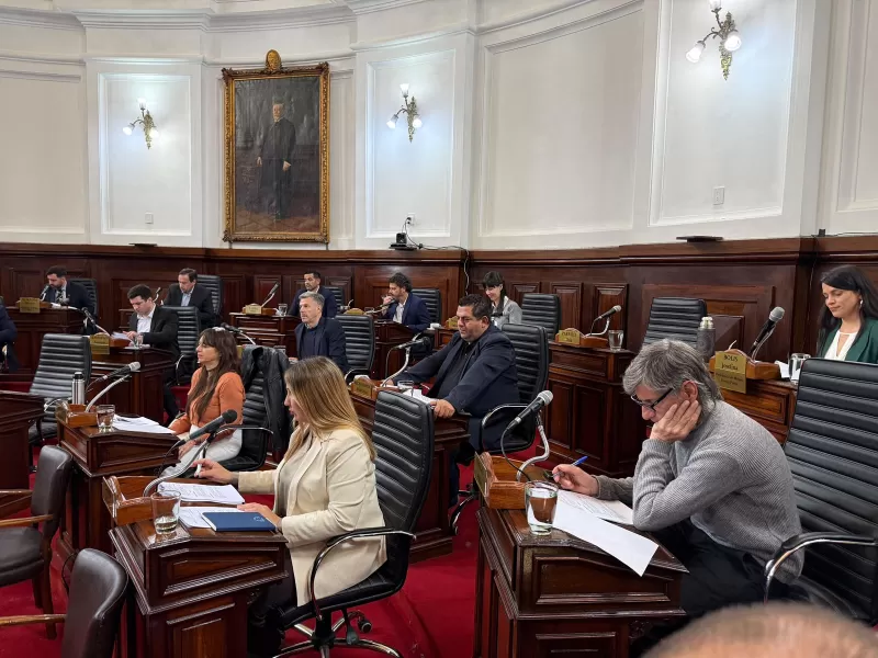 Taxis, aplicaciones y cruces políticos marcaron la 13ª sesión del Concejo Deliberante de La Plata