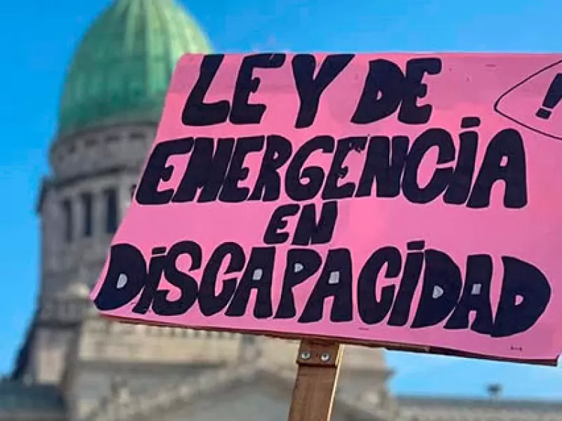 El Gobierno reglament&oacute; la Ley de Emergencia Nacional en Discapacidad tras una orden judicial