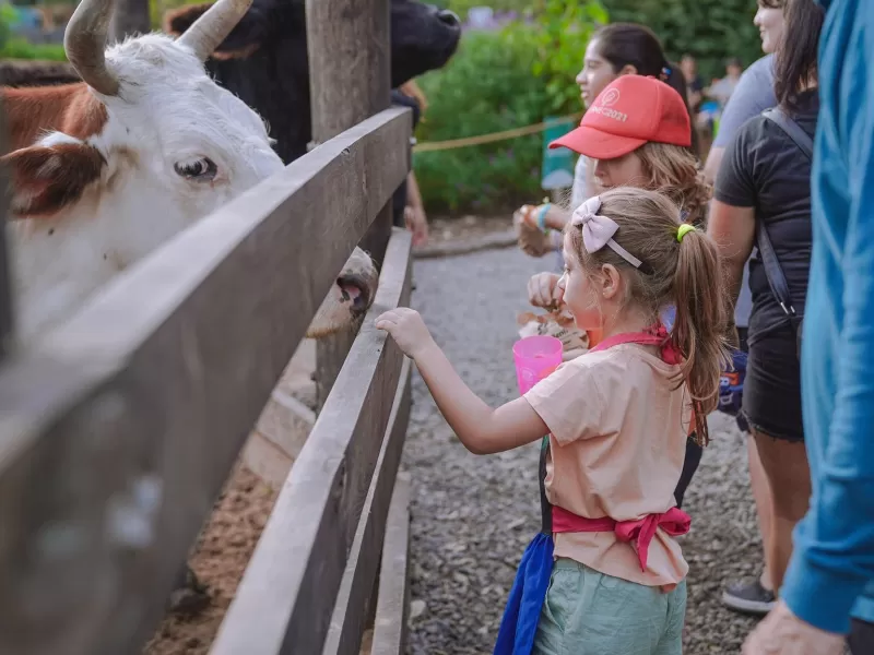 La Granja Don Benito abri&oacute; la inscripci&oacute;n para visitas escolares