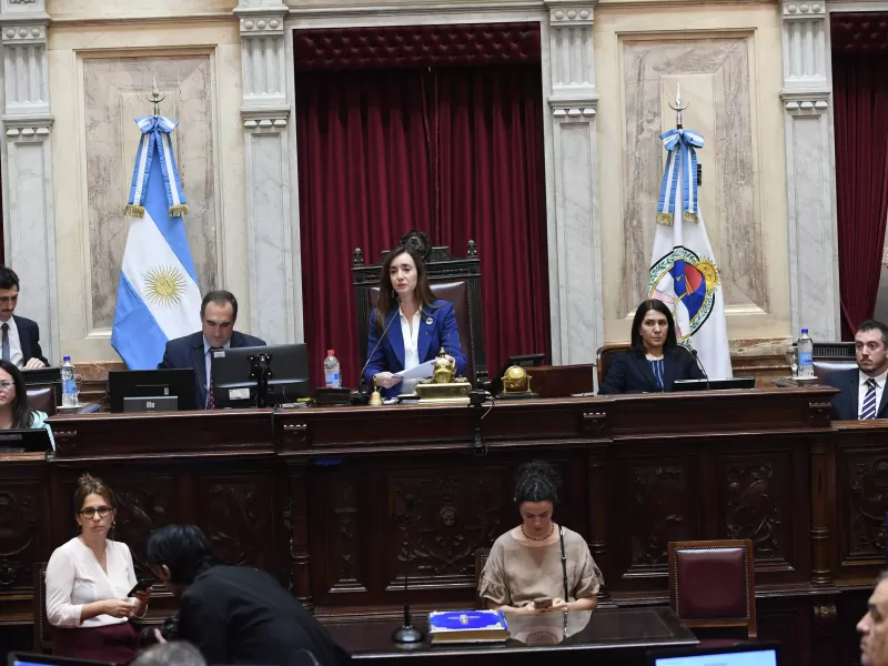 El Senado tratará el veto de Milei a la ley de emergencia en discapacidad en medio del escándalo por la ANDIS
