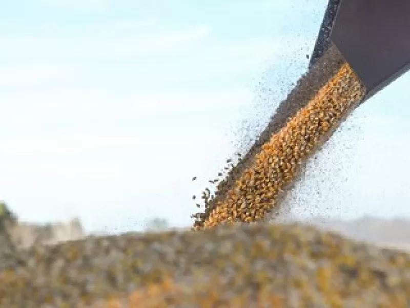 El Gobierno redujo retenciones para productos agr&iacute;colas y biocombustibles