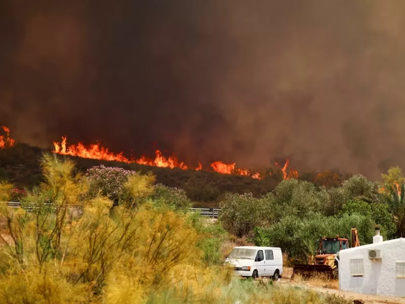 Los incendios en España ya afectaron a más de 6.600 hectáreas