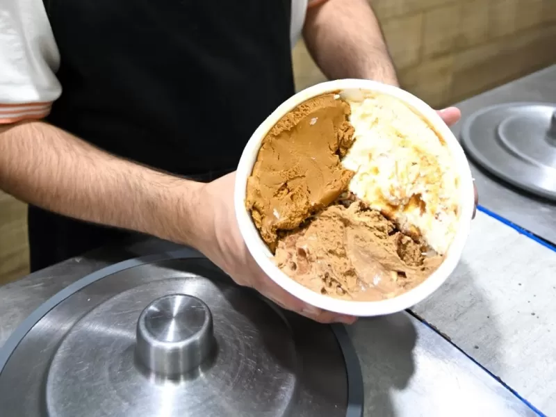 Bocha de promociones: Celebra el D&iacute;a de las Helader&iacute;as