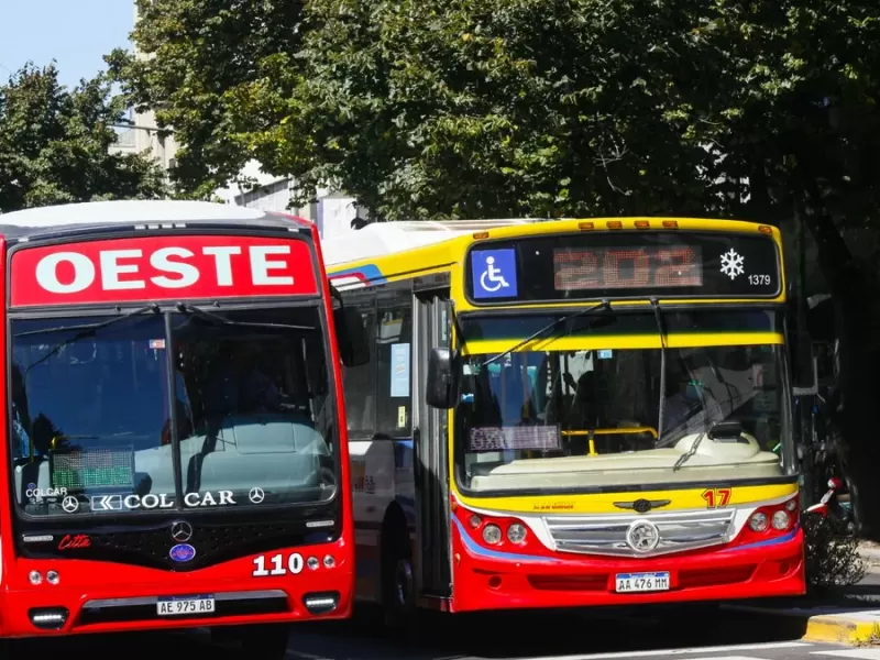 La Provincia oficializ&oacute; un aumento del 15% en los micros del AMBA y La Plata desde marzo
