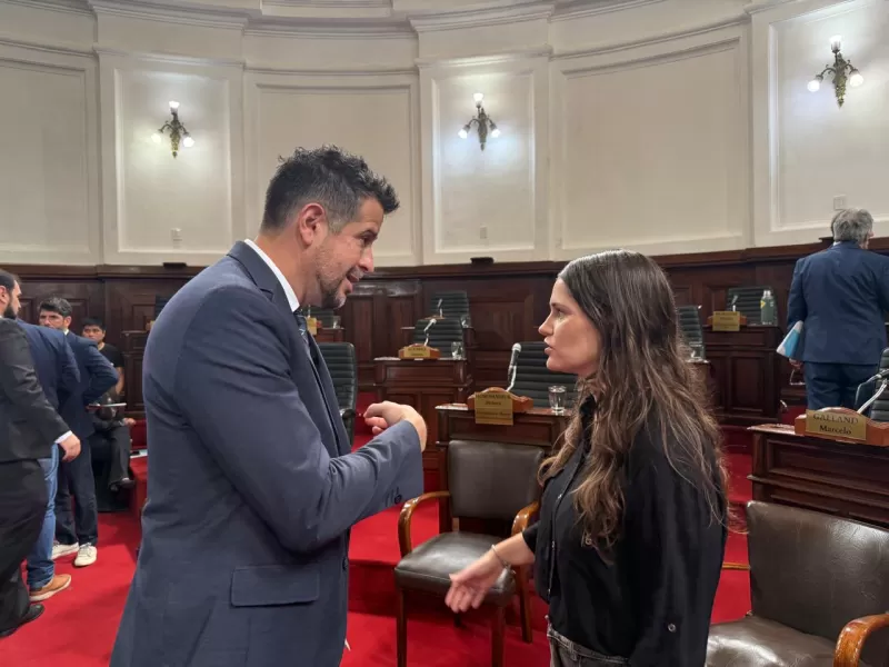 HCD: nuevos concejales, cruces y  polémico proyecto de seguridad
