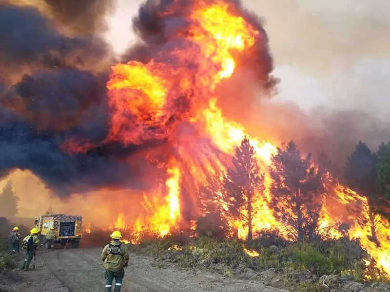 La Provincia envi&oacute; brigadistas y equipamiento a Chubut para reforzar el combate de los incendios en la Patagonia
