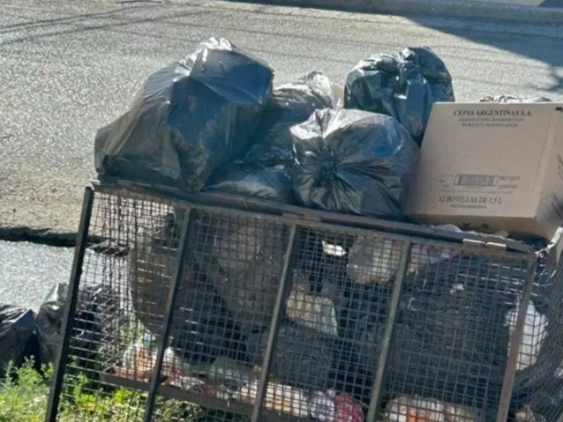 Se multiplican las quejas por la falta de recolección de residuos en ...