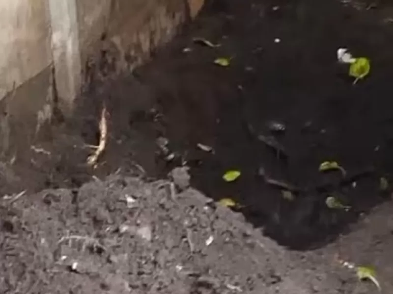 Un nene hall&oacute; el cuerpo de su madre enterrado y buscan a la pareja