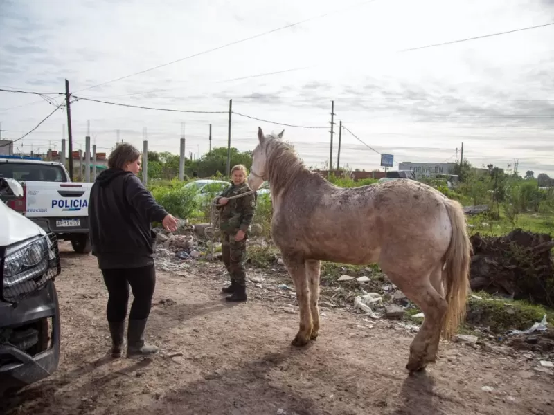 Se realiz&oacute; un operativo integral en Villa Luj&aacute;n para prevenir inundaciones y sancionar vuelcos ilegales