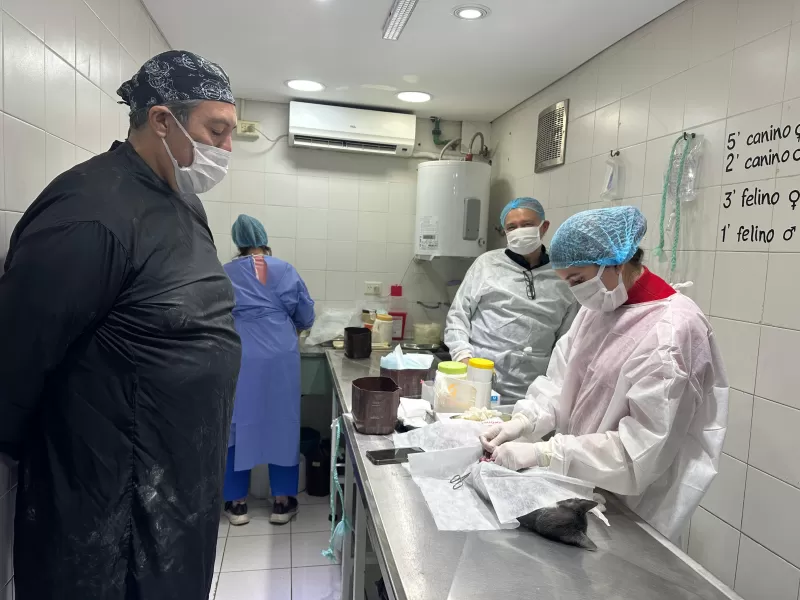 Una delegación de México visitó zoonosis Brown para conocer y replicar su modelo de sanidad animal