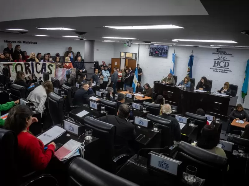 El HCD aprob&oacute; cambios para vender 97 veh&iacute;culos y modific&oacute; el r&eacute;gimen de guardavidas