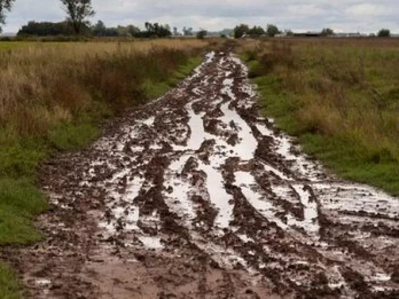 Caminos rurales intransitables complican la cosecha y profundizan la crisis productiva en el sudoeste bonaerense