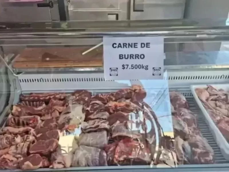 Trelew: furor por la carne de burro, m&aacute;s barata que la vacuna y con alta demanda