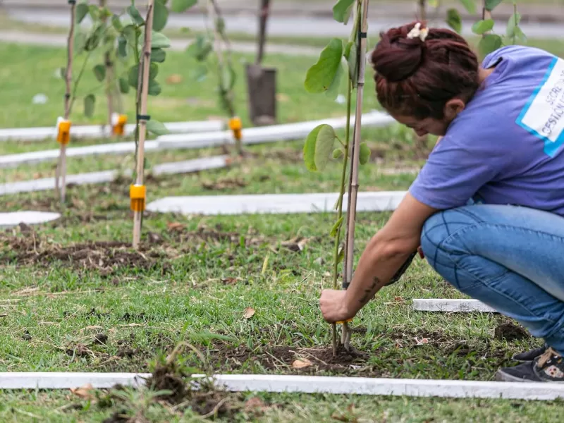 La ciudad fortalece su perfil como pulmón verde con un gran operativo de forestación en el parque Don Orione