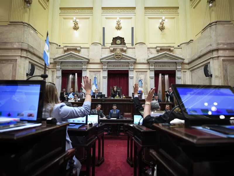 El Senado aprob&oacute; la reforma de la Ley de Salud Mental y el proyecto pasa a Diputados