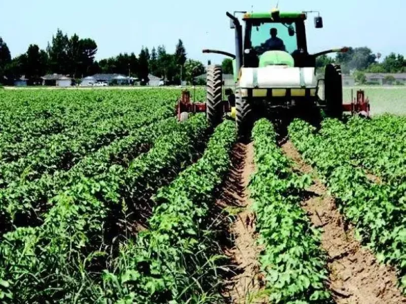 La actividad econ&oacute;mica creci&oacute; en marzo y el super&aacute;vit comercial alcanz&oacute; un r&eacute;cord hist&oacute;rico