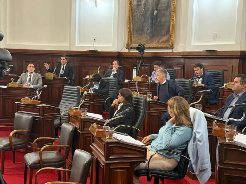 El oficialismo marcó agenda en una intensa sesión del Concejo platense