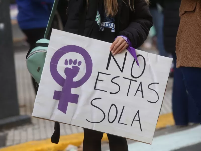Un femicidio cada 33 horas, violencia digital y abandono estatal