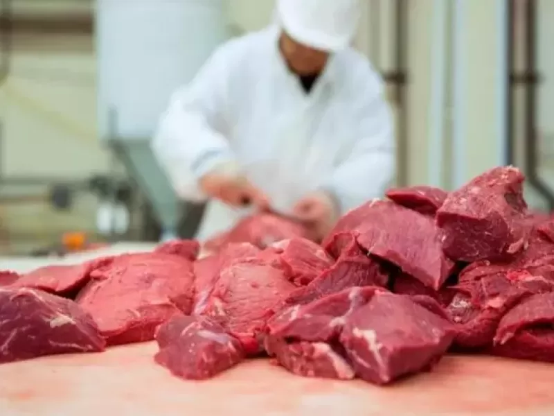 Cae el consumo de carne vacuna y crece la preocupaci&oacute;n por el impacto econ&oacute;mico en hogares e industria