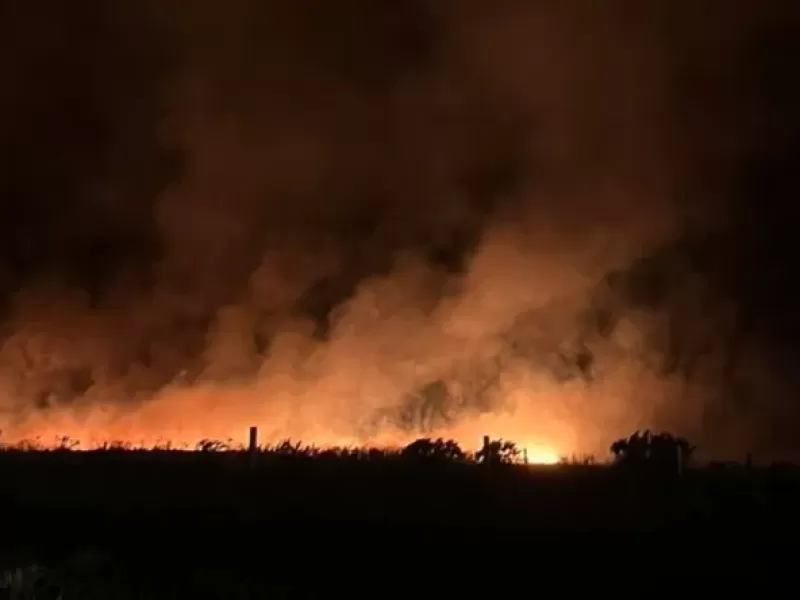 Incendio forestal cerca de Mar del Plata arras&oacute; unas 200 hect&aacute;reas y moviliz&oacute; a decenas de bomberos