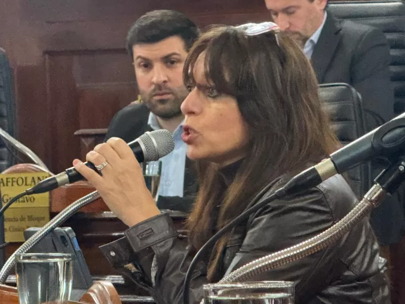 El Concejo debatió el apagón de EDELAP: pedidos de informes, cruces y la búsqueda de mayor control municipal