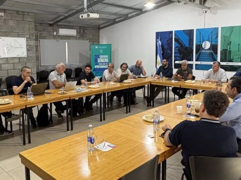 El Puerto Dock Sud avanz&oacute; en el an&aacute;lisis del tr&aacute;fico portuario junto a operadores y el CFI