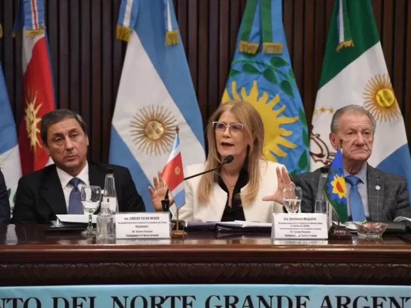 Magario: “El federalismo no puede ser un gasto, es una condición de desarrollo para Argentina”