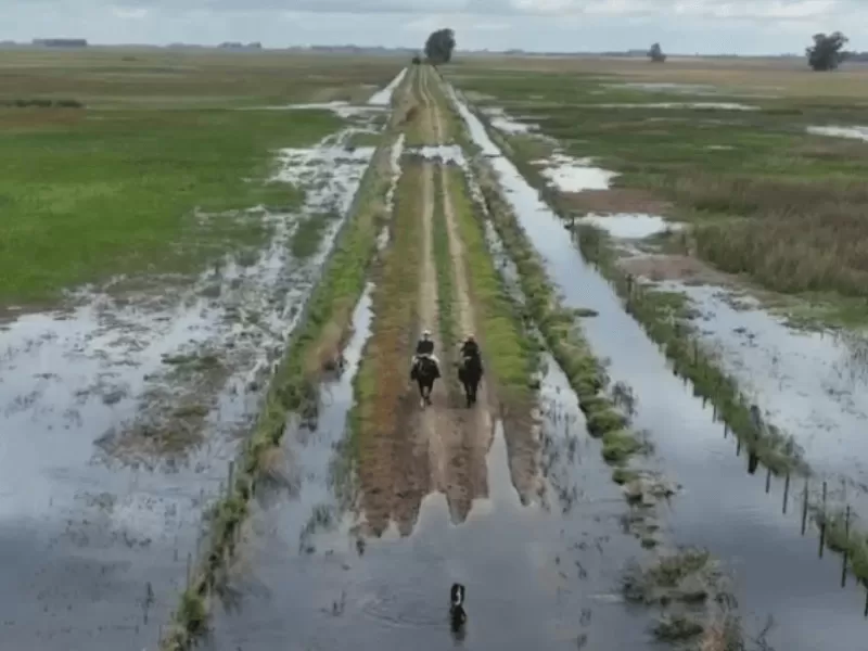 Caminos rurales bonaerenses: el 79% de los productores los califica como malos o muy malos