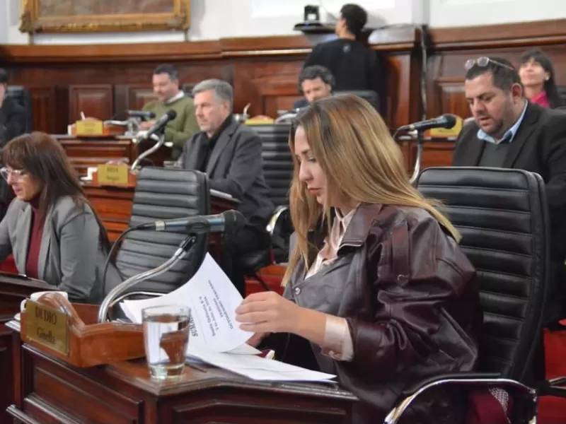 El Concejo Deliberante aprobó una ordenanza clave para avanzar con la recuperación integral del Parque Saavedra